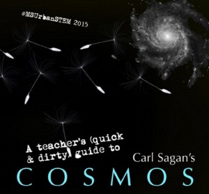 cosmos-book-300x279